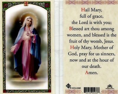 Hail Mary Full of Grace Laminated Prayer Holy Card The Lord is With You Catholic